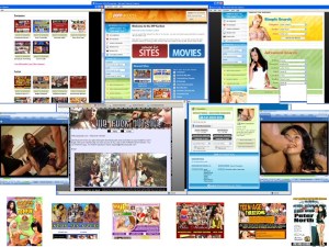 Members area screenshot from Porn Access - click to enlarge