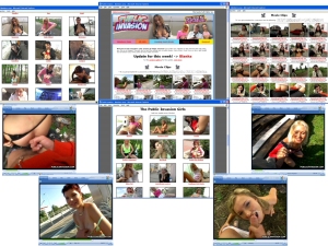 Members area screenshot from Public Invasion - click to enlarge