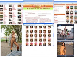 Members area screenshot from Public Nude Sluts - click to enlarge