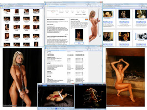 Members area screenshot from Restrained Elegance - click to enlarge