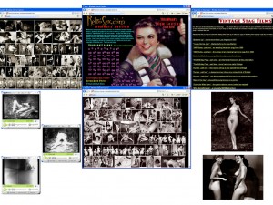 Members area screenshot from Retro Sex - click to enlarge