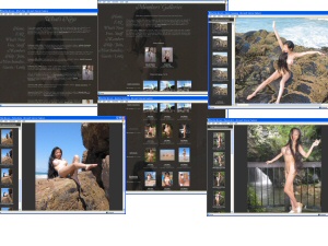Members area screenshot from Sachiko Mclean - click to enlarge
