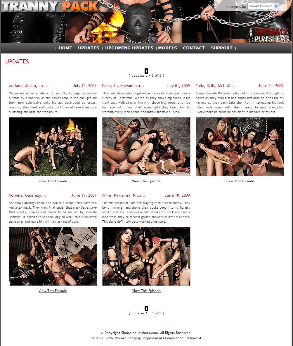Shemale Punishers screenshot number 3