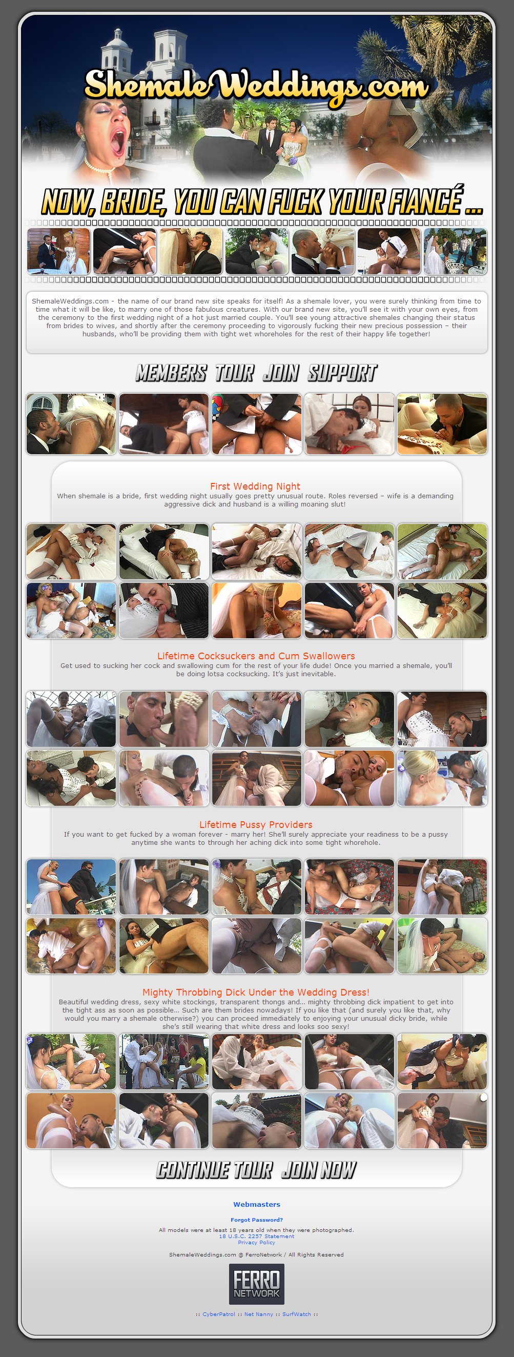 Shemale Weddings screenshot number 1