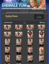 Screenshot 5 from members area