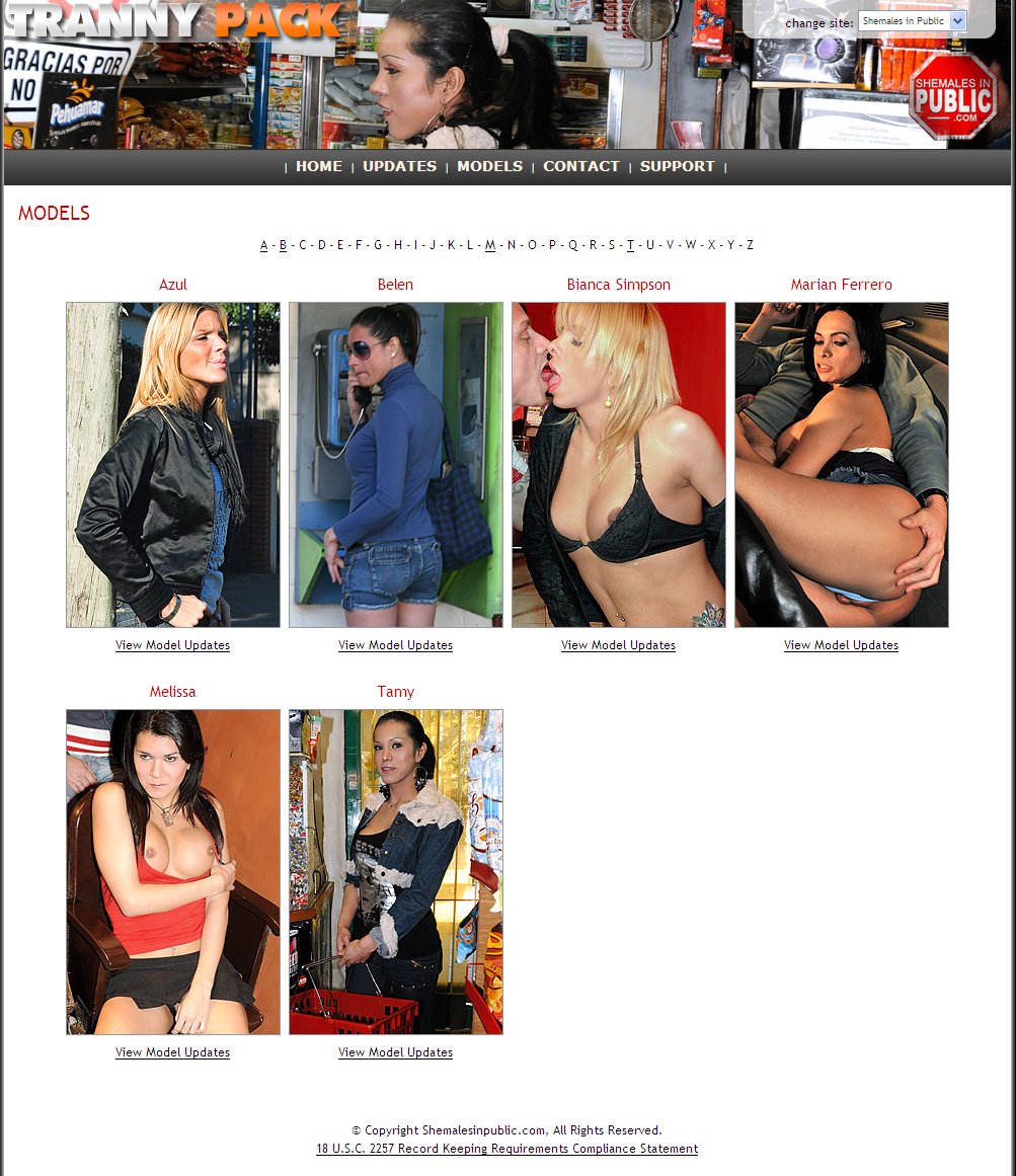 Shemales in Public screenshot number 5