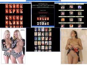 Members area screenshot from Tight Clothes - click to enlarge