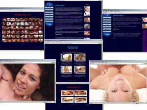 Members area screenshot from Velvet Ecstasy - click to enlarge