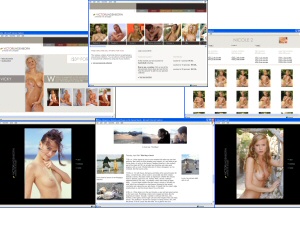 Members area screenshot from Victor Lindenborn - click to enlarge
