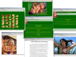 Members area screenshot from Virgin Paradise - click to enlarge