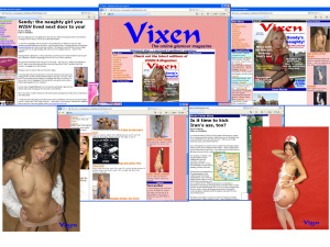 Members area screenshot from Vixen E-magazine - click to enlarge