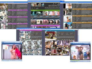 Members area screenshot from Voyeur 4 You - click to enlarge