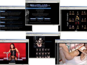 Members area screenshot from Wasteland - click to enlarge